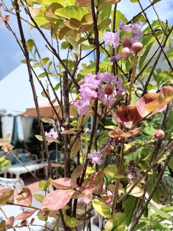 Palm Sweet Hotel Prachuap Khiri Khan Zewnętrze zdjęcie