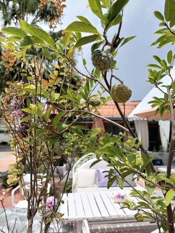 Palm Sweet Hotel Prachuap Khiri Khan Zewnętrze zdjęcie